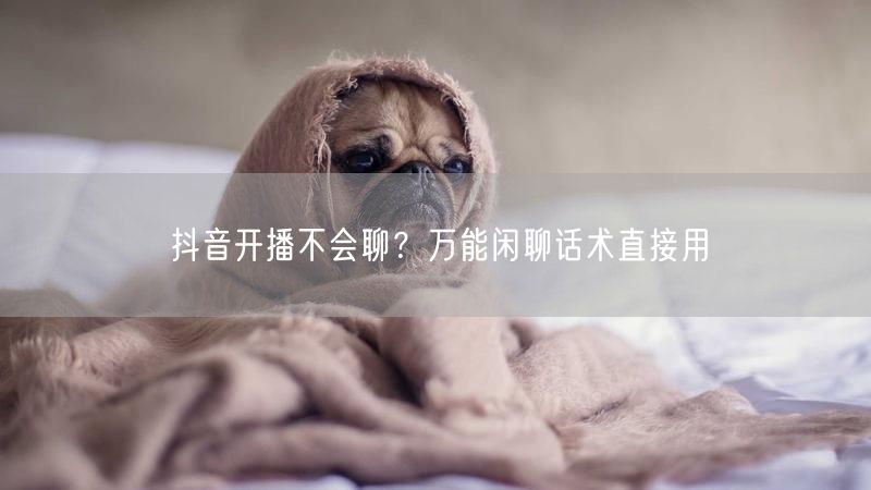 抖音开播不会聊？万能闲聊话术直接用