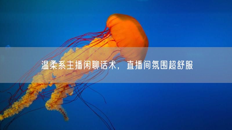 温柔系主播闲聊话术，直播间氛围超舒服