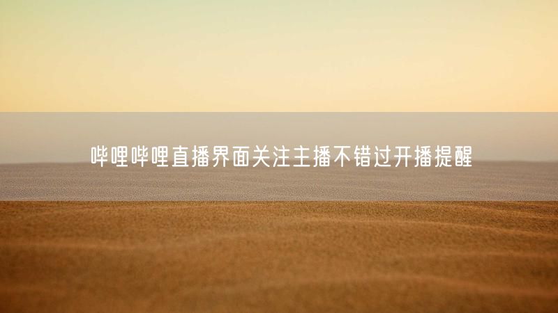 哔哩哔哩直播界面关注主播不错过开播提醒