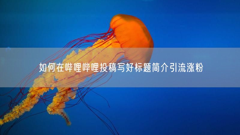 如何在哔哩哔哩投稿写好标题简介引流涨粉