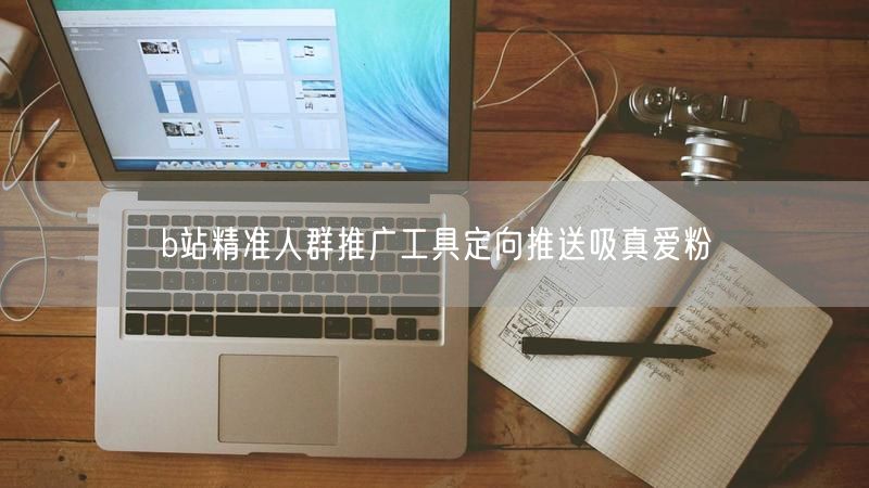 b站精准人群推广工具定向推送吸真爱粉