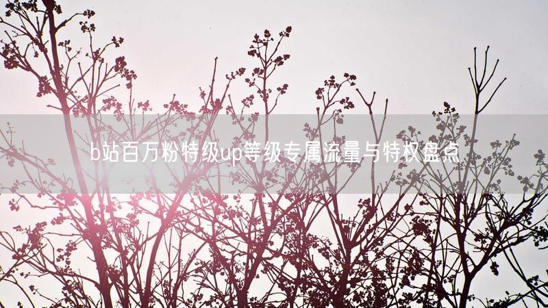 b站百万粉特级up等级专属流量与特权盘点