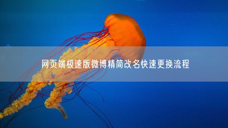 网页端极速版微博精简改名快速更换流程