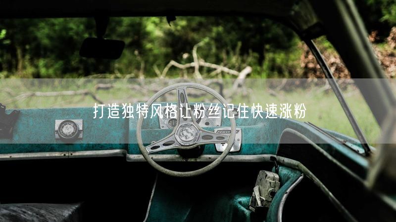 打造独特风格让粉丝记住快速涨粉