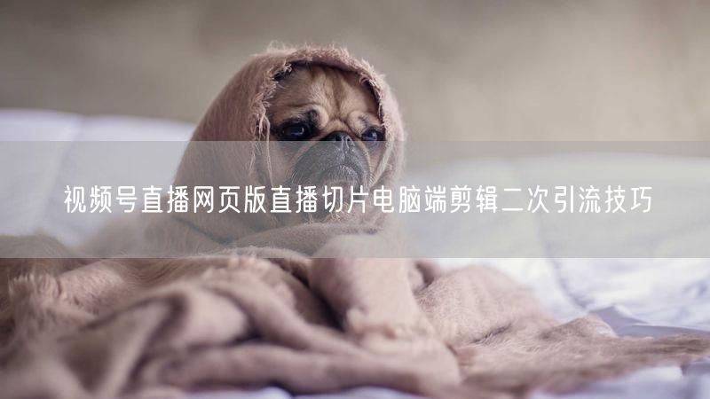视频号直播网页版直播切片电脑端剪辑二次引流技巧