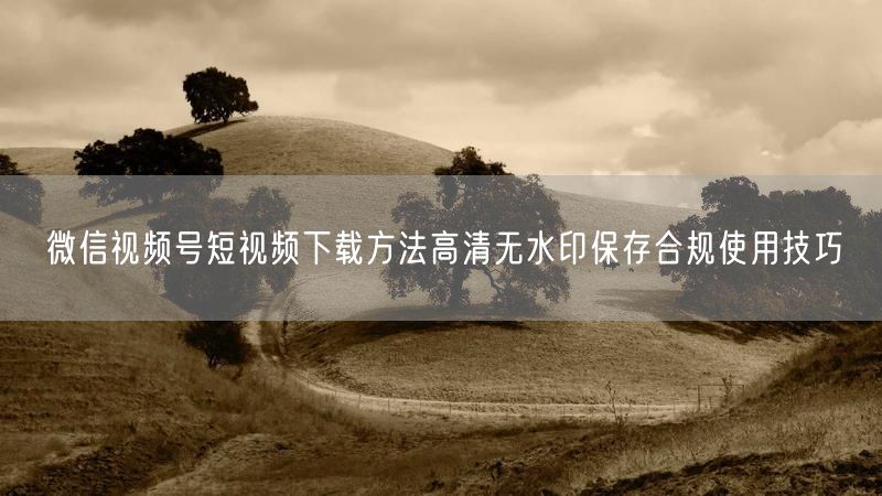 微信视频号短视频下载方法高清无水印保存合规使用技巧