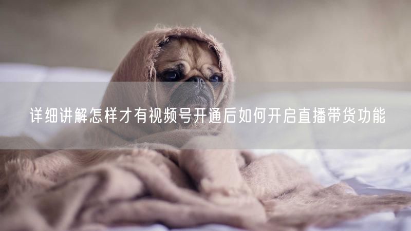 详细讲解怎样才有视频号开通后如何开启直播带货功能