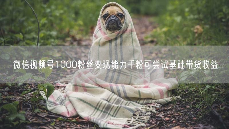 微信视频号1000粉丝变现能力千粉可尝试基础带货收益