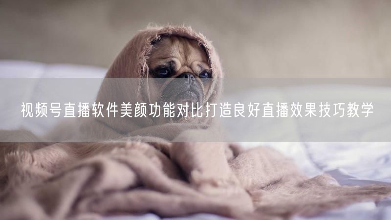 视频号直播软件美颜功能对比打造良好直播效果技巧教学