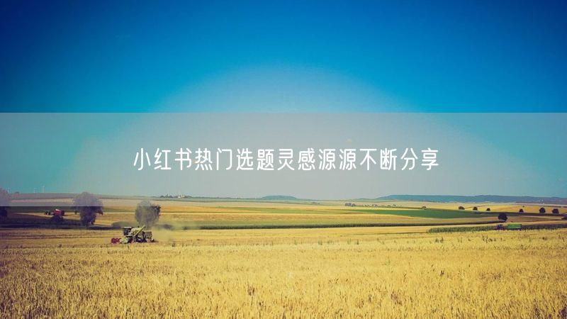 小红书热门选题灵感源源不断分享