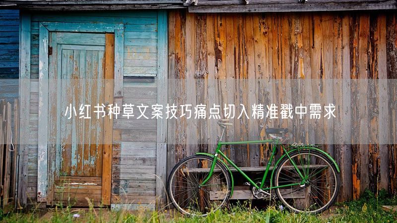 小红书种草文案技巧痛点切入精准戳中需求