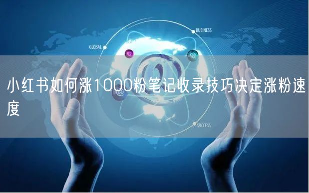 小红书如何涨1000粉笔记收录技巧决定涨粉速度