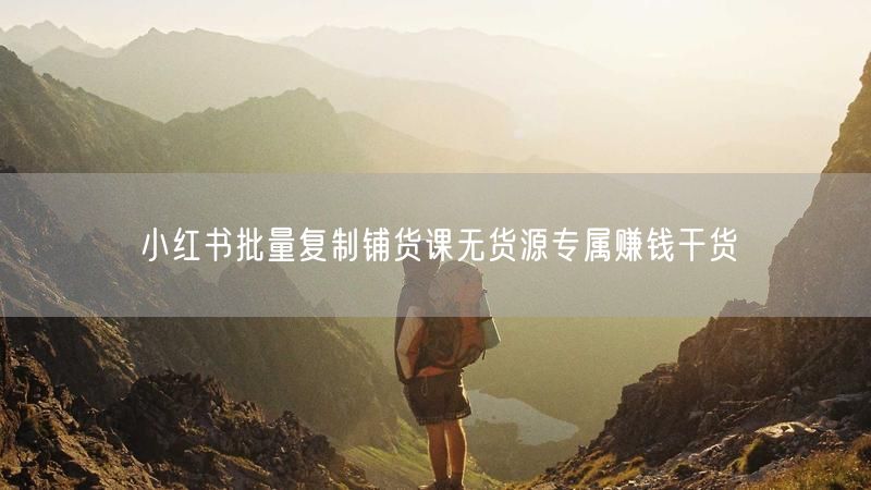小红书批量复制铺货课无货源专属赚钱干货