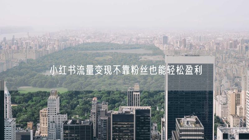 小红书流量变现不靠粉丝也能轻松盈利