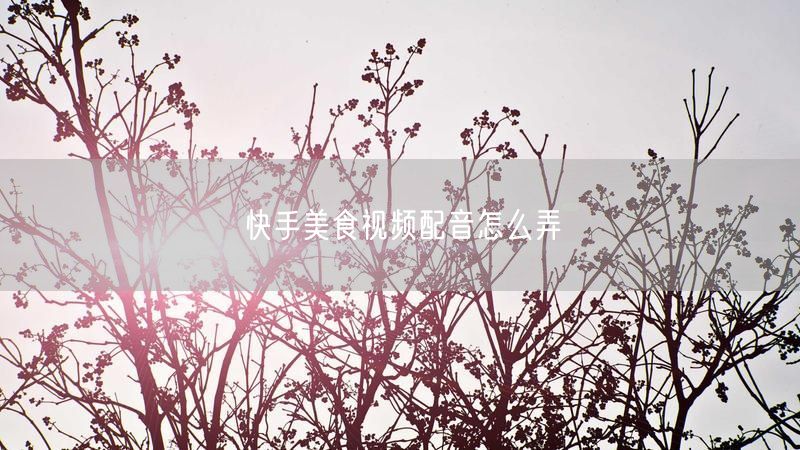 快手美食视频配音怎么弄