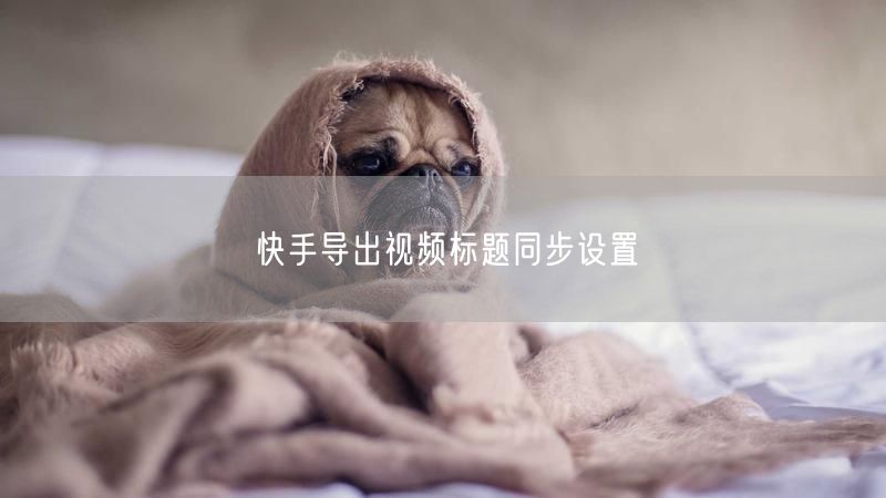 快手导出视频标题同步设置