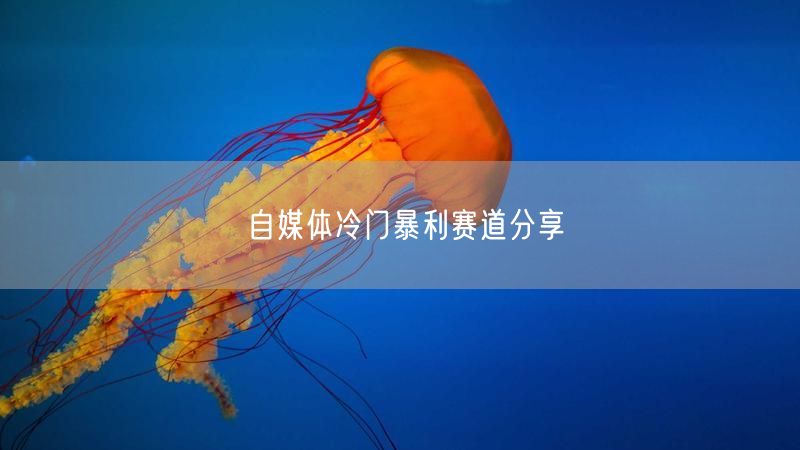 自媒体冷门暴利赛道分享