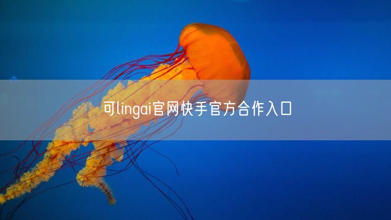 可lingai官网快手官方合作入口