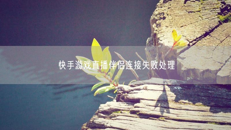 快手游戏直播伴侣连接失败处理