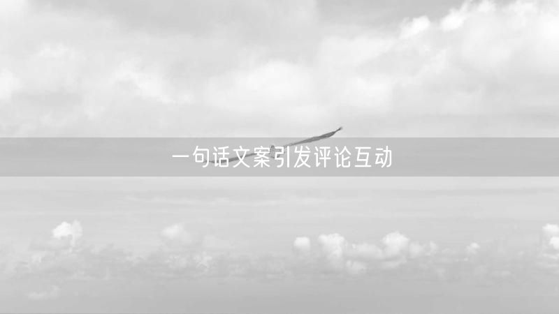 一句话文案引发评论互动