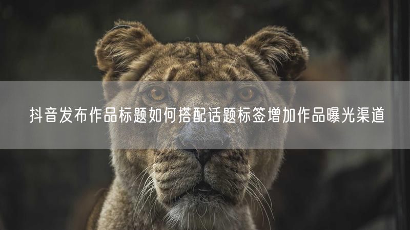 抖音发布作品标题如何搭配话题标签增加作品曝光渠道