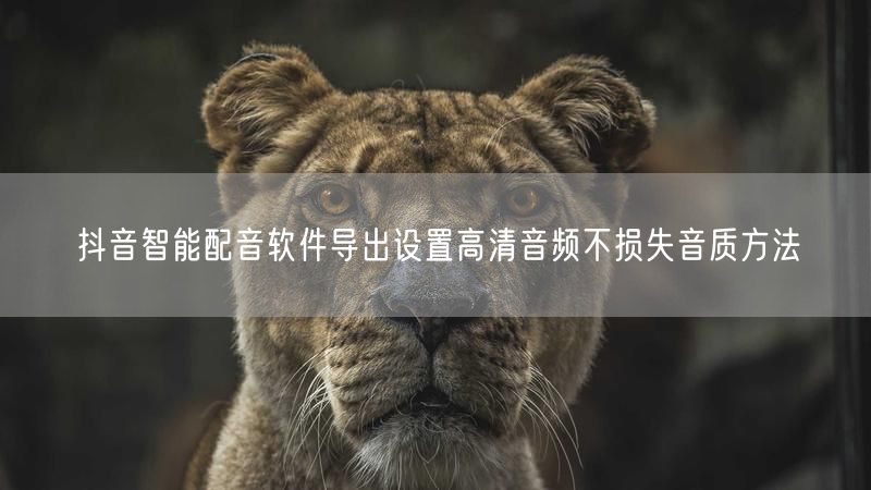 抖音智能配音软件导出设置高清音频不损失音质方法