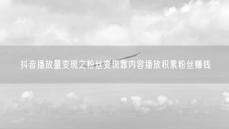 抖音播放量变现之粉丝变现靠内容播放积累粉丝赚钱