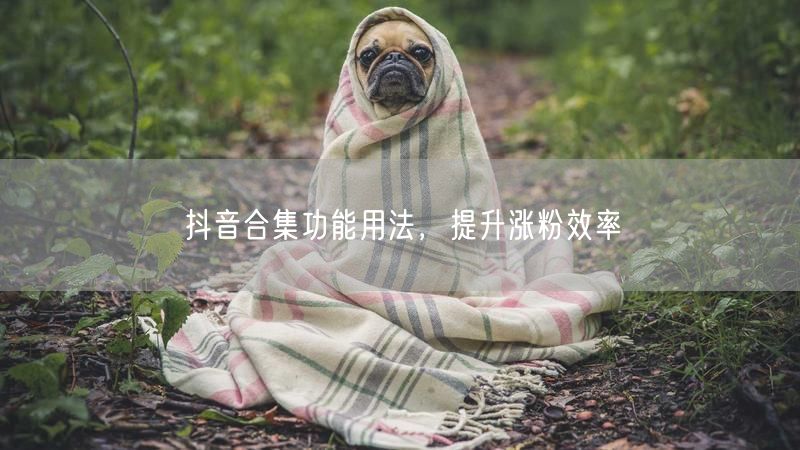 抖音合集功能用法，提升涨粉效率