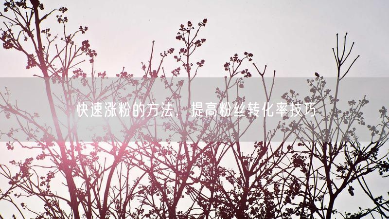 快速涨粉的方法，提高粉丝转化率技巧