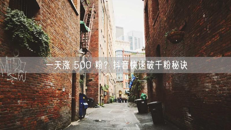 一天涨 500 粉？抖音快速破千粉秘诀