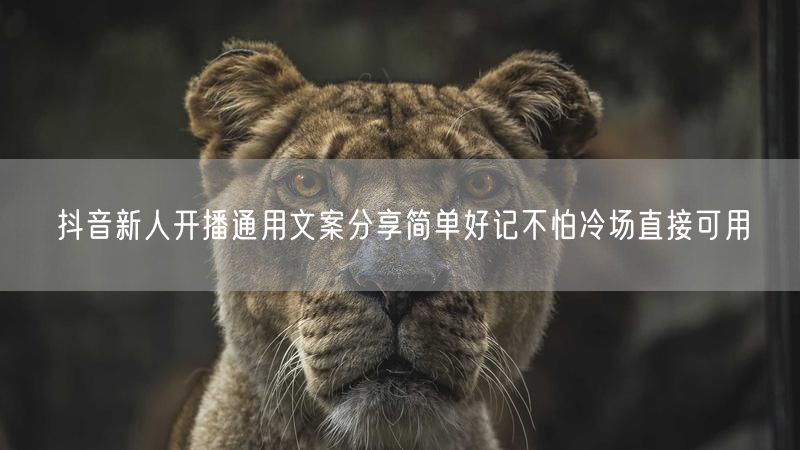 抖音新人开播通用文案分享简单好记不怕冷场直接可用