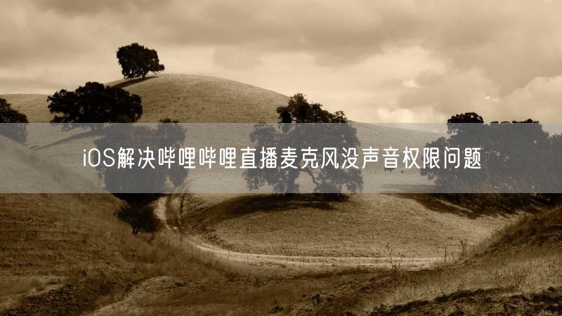 iOS解决哔哩哔哩直播麦克风没声音权限问题