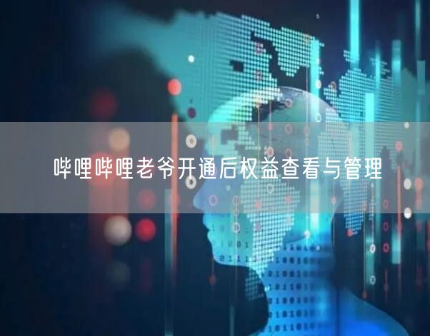 哔哩哔哩老爷开通后权益查看与管理