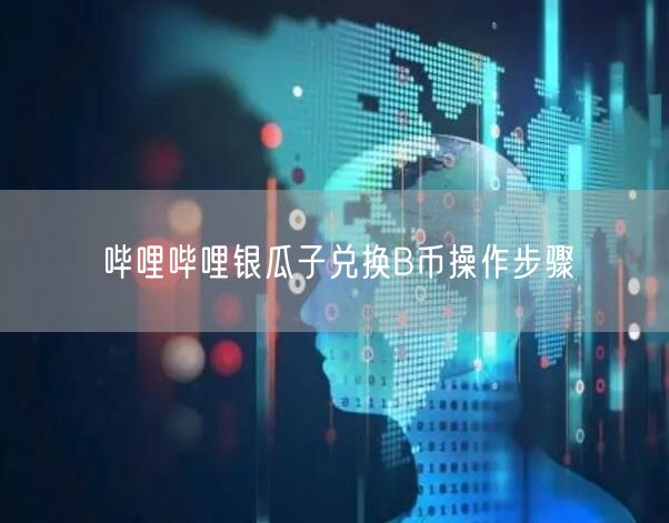 哔哩哔哩银瓜子兑换B币操作步骤
