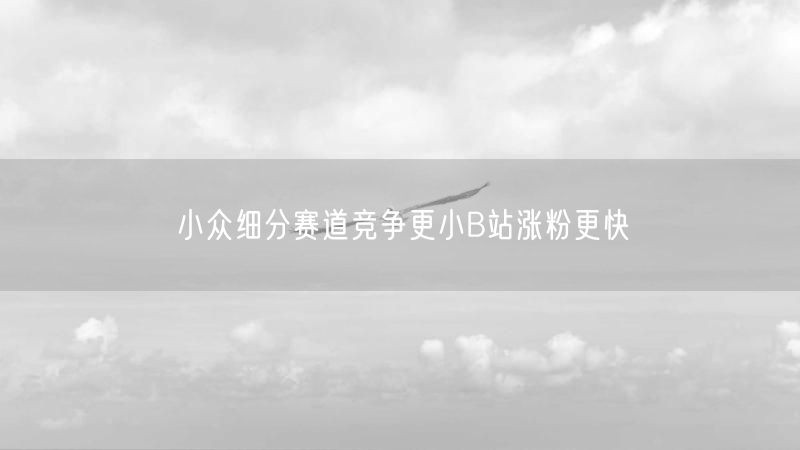 小众细分赛道竞争更小B站涨粉更快