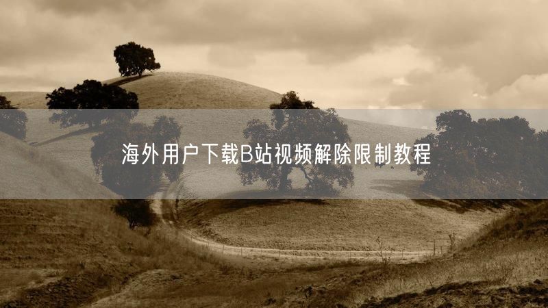 海外用户下载B站视频解除限制教程