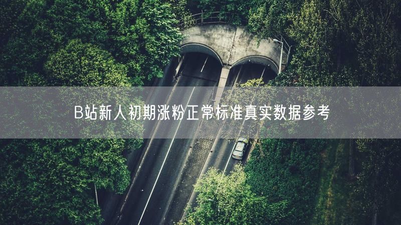 B站新人初期涨粉正常标准真实数据参考