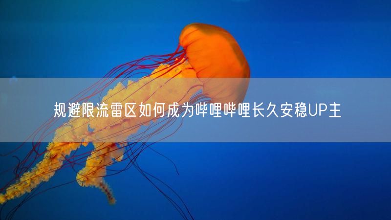 规避限流雷区如何成为哔哩哔哩长久安稳UP主