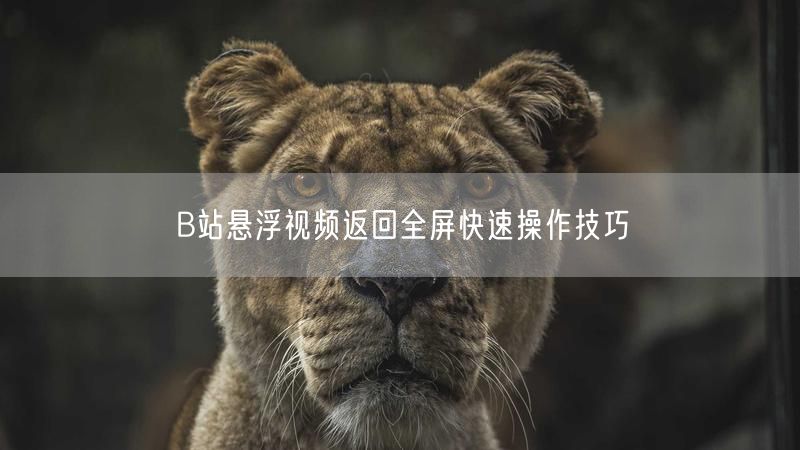 B站悬浮视频返回全屏快速操作技巧