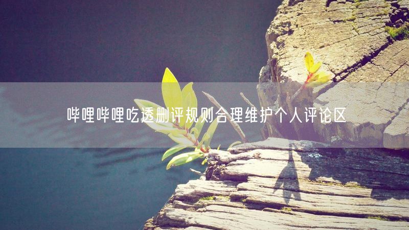 哔哩哔哩吃透删评规则合理维护个人评论区