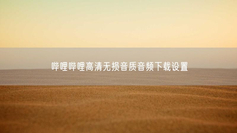 哔哩哔哩高清无损音质音频下载设置