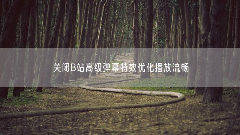 关闭B站高级弹幕特效优化播放流畅