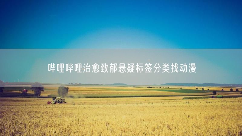 哔哩哔哩治愈致郁悬疑标签分类找动漫