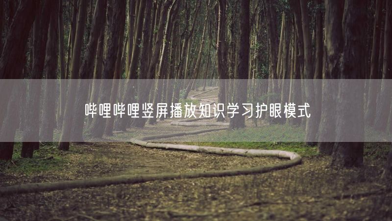 哔哩哔哩竖屏播放知识学习护眼模式