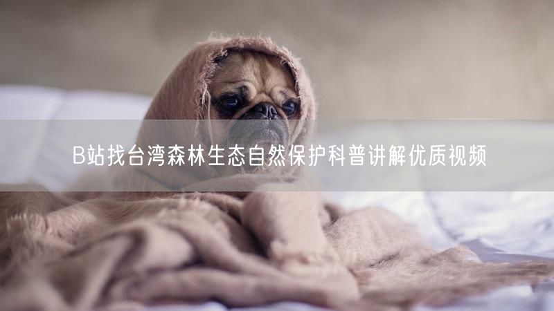 B站找台湾森林生态自然保护科普讲解优质视频