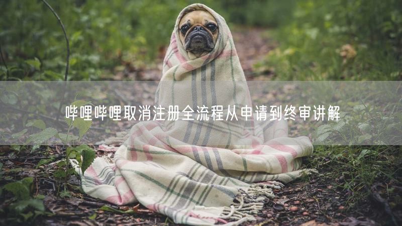 哔哩哔哩取消注册全流程从申请到终审讲解