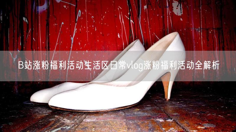 B站涨粉福利活动生活区日常vlog涨粉福利活动全解析