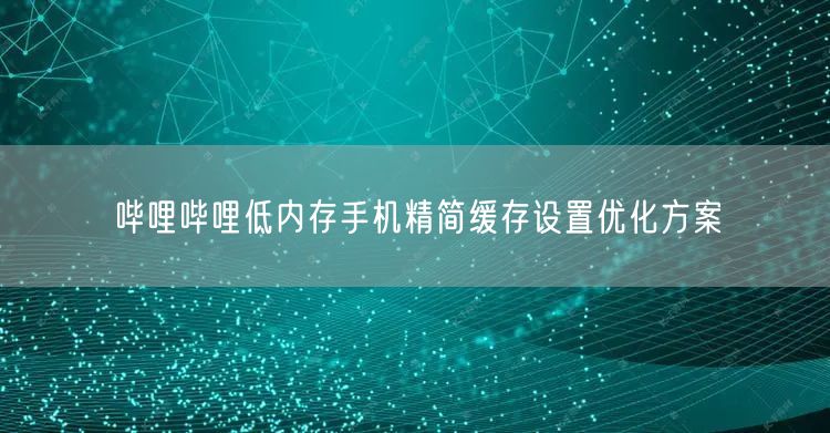 哔哩哔哩低内存手机精简缓存设置优化方案