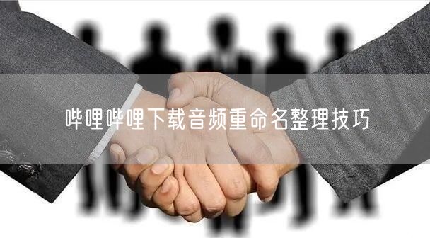 哔哩哔哩下载音频重命名整理技巧