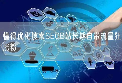 懂得优化搜索SEOB站长期自带流量狂涨粉